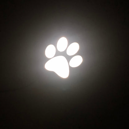 PAW PRINT LIGHTBOX